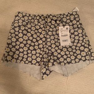 NWT Zara shorts
